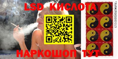 скорость Дубна