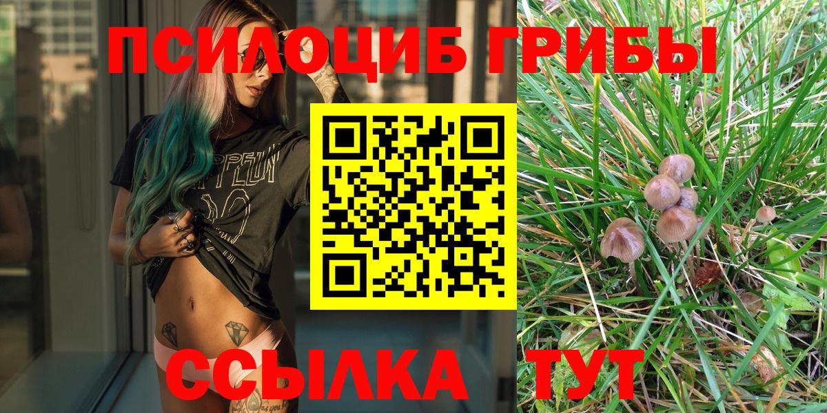 Псилоцибиновые грибы ЛСД  Псилоцибиновые грибы Psilocybine cubensis  Вход с VPN  Липецк 